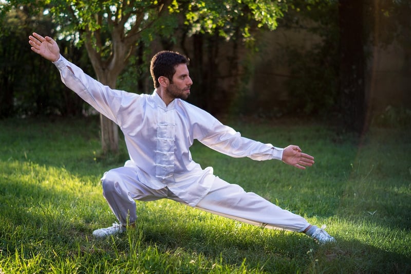 Chen Style Tai Chi Image